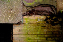 _DSC7249%20(1)