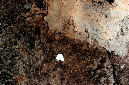 _DSC7256%20(1)