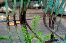_DSC7259%20(1)