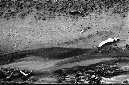 _DSC7262%20(1)