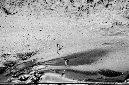 _DSC7263%20(1)
