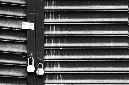 _DSC7268%20(1)