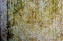 _DSC7286%20(1)