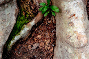_DSC7303%20(1)