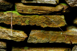_DSC7437%20(1)