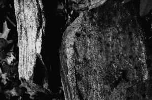 _DSC7447%20(1)