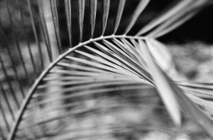_DSC7457%20(1)