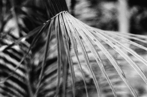 _DSC7466%20(1)