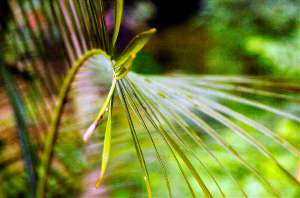 _DSC7474%20(1)