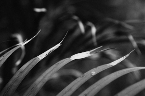 _DSC7481%20(1)