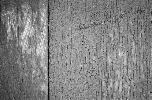 _DSC7511%20(1)