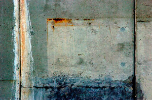 _DSC7540%20(1)