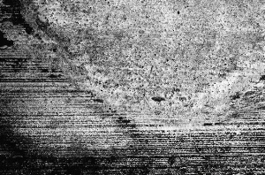 _DSC7597%20(1)