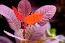 _DSC7416%20(1)