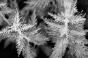 _DSC7427%20(1)