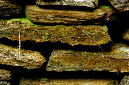 _DSC7437%20(1)