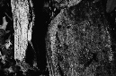 _DSC7447%20(1)