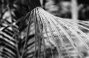 _DSC7466%20(1)
