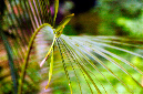 _DSC7474%20(1)
