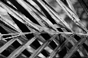 _DSC7476%20(1)