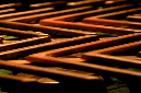 _DSC7506%20(1)