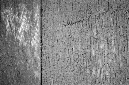 _DSC7511%20(1)