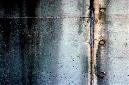 _DSC7555%20(1)