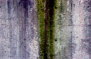 _DSC7582%20(1)