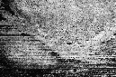 _DSC7597%20(1)