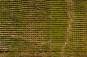 _DSC7861