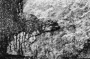 _DSC7744%20(1)