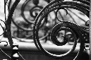 _DSC7813