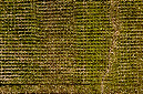 _DSC7861
