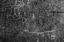 _DSC7867