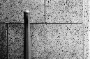 _DSC7893