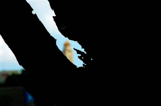 _DSC8986