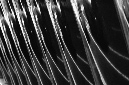 _DSC8792
