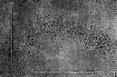 _DSC8871
