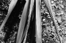 _DSC8887