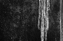 _DSC8911