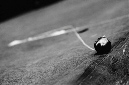 _DSC8981