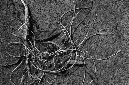 _DSC9047