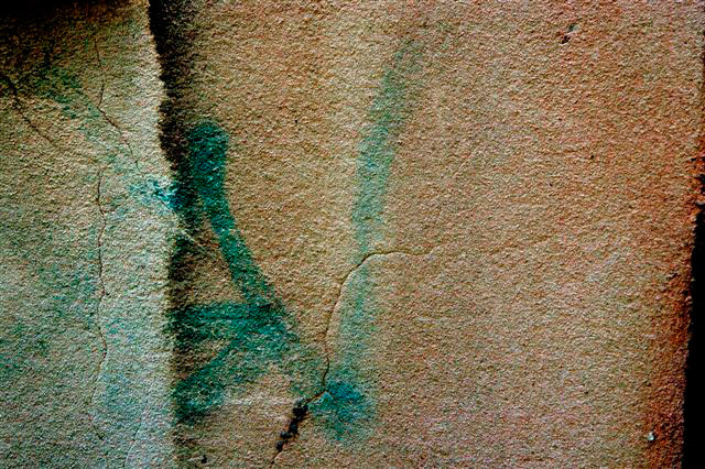 _DSC0008%20(1)