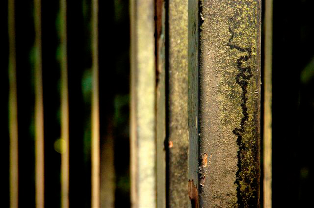 _DSC0037%20(1)