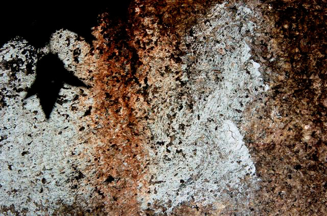 _DSC0041%20(1)