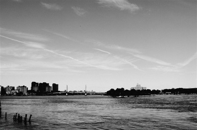 _DSC0044%20(1)