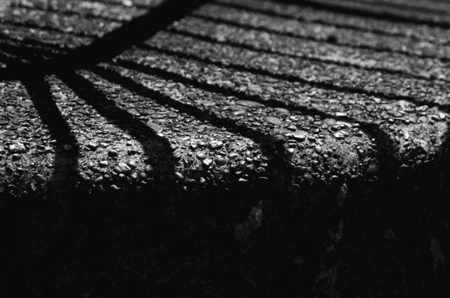 _DSC0054%20(1)