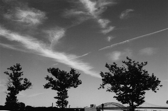 _DSC0071%20(1)