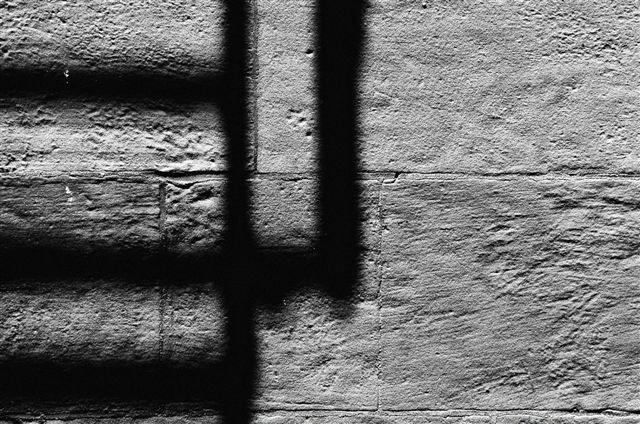 _DSC0098%20(1)