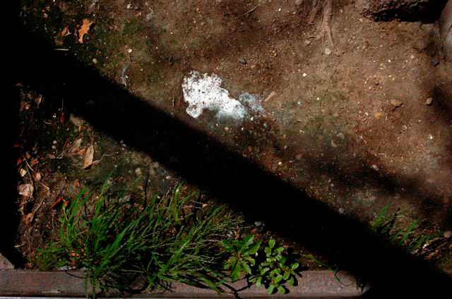 _DSC0142%20(1)